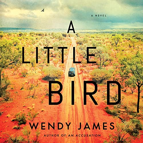 A Little Bird by Wendy James