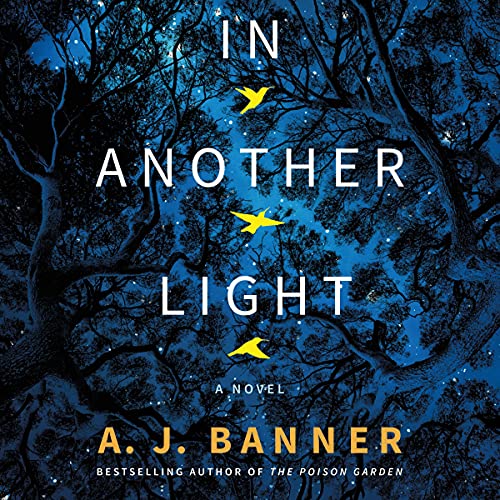 In Another Light by A. J. Banner