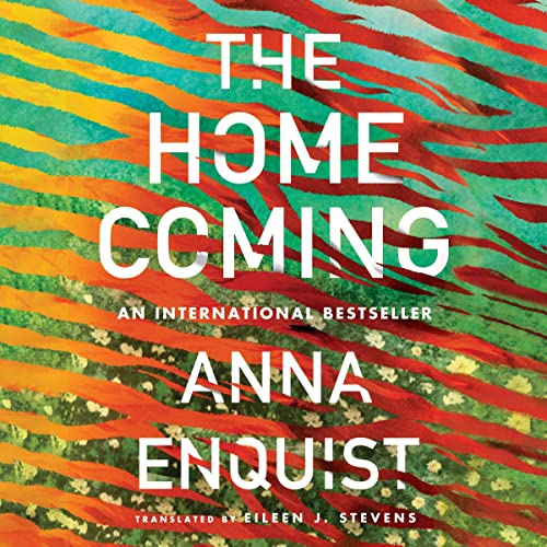 The Homecoming by Anna Enquist