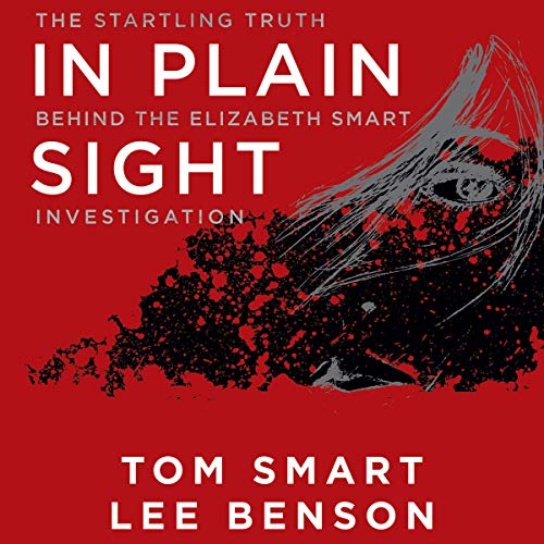 In Plain Sight by Tom Smart