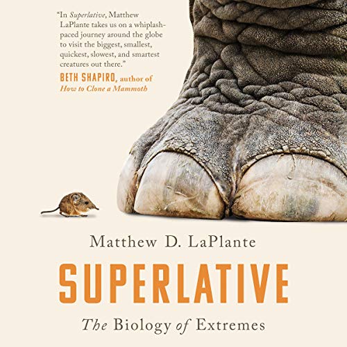 Superlative by Matthew D. LaPlante