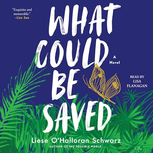 What Could Be Saved by Liese O'Halloran Schwarz