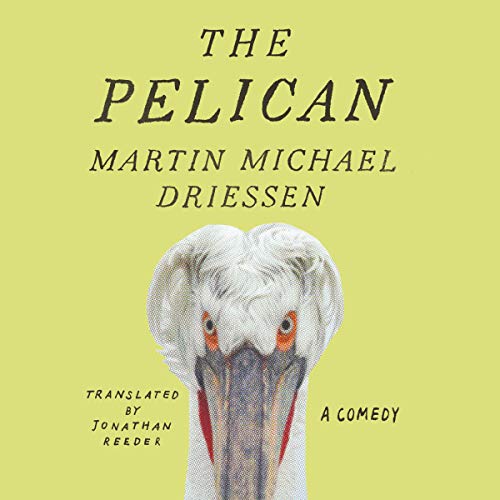 The Pelican by Martin Michael Driessen