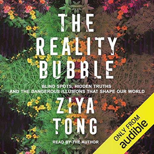 The Reality Bubble