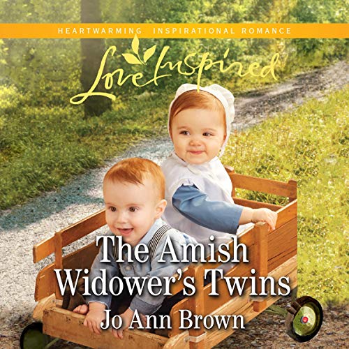 The Amish Widower's Twins