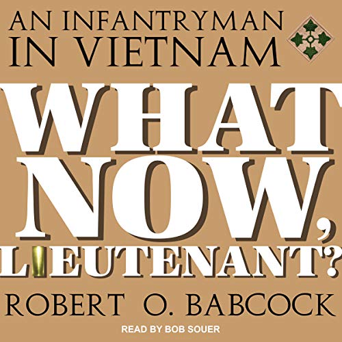 What Now, Lieutenant? by Robert O. Babcock