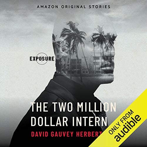 The Two Million Dollar Intern by David Gauvey Herbert