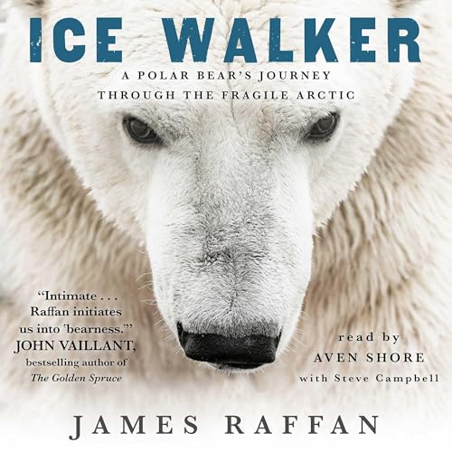 Ice Walker by James Raffan
