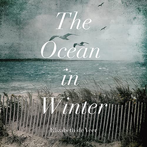 The Ocean in Winter by Elizabeth de Veer