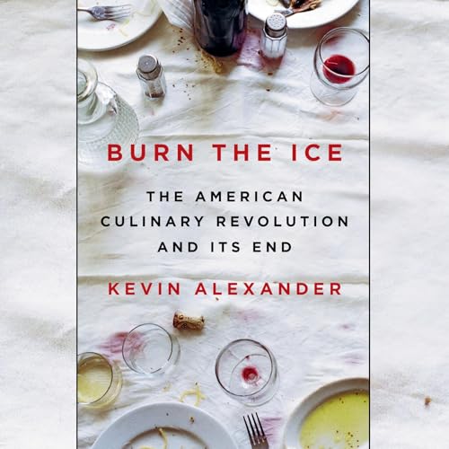 Burn the Ice by Kevin Alexander