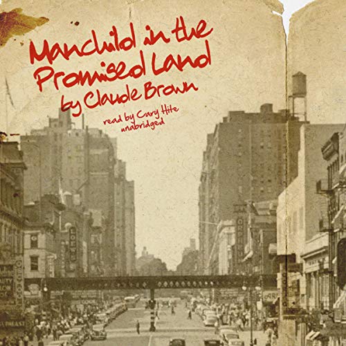 Manchild in the Promised Land by Claude Brown