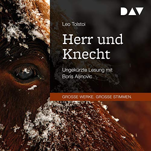Herr und Knecht by Leo Tolstoy