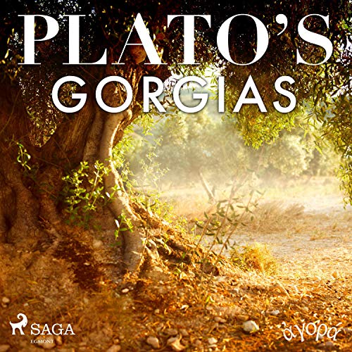 Plato's Gorgias by Plato