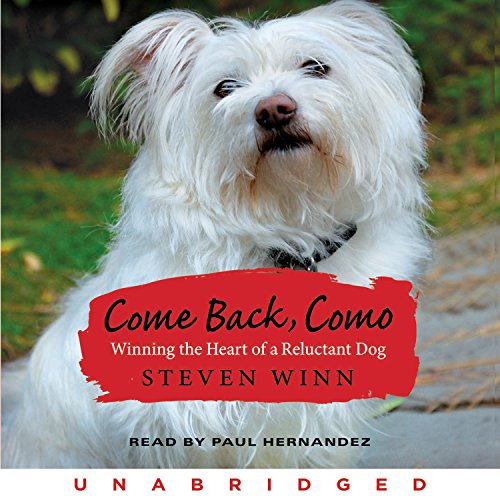 Come Back, Como by Steven Winn