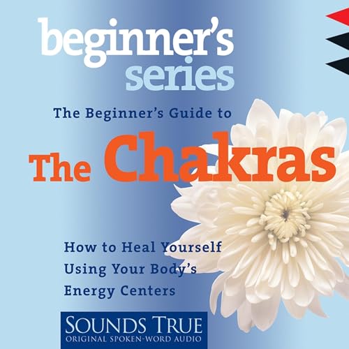 The Beginner’s Guide to the Chakras
