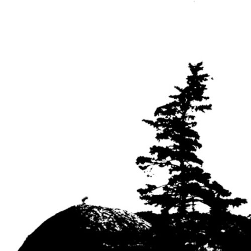 What Are You Waiting For?