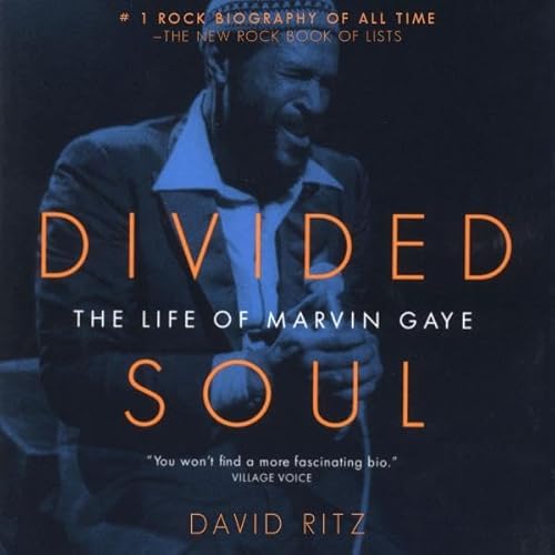 Divided Soul by David Ritz