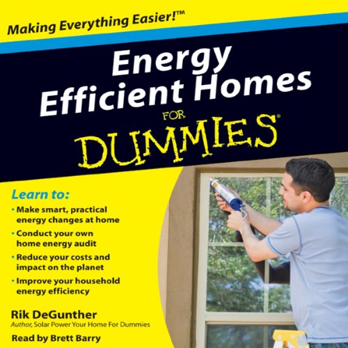 Energy Efficient Homes for Dummies by Rik DeGunther
