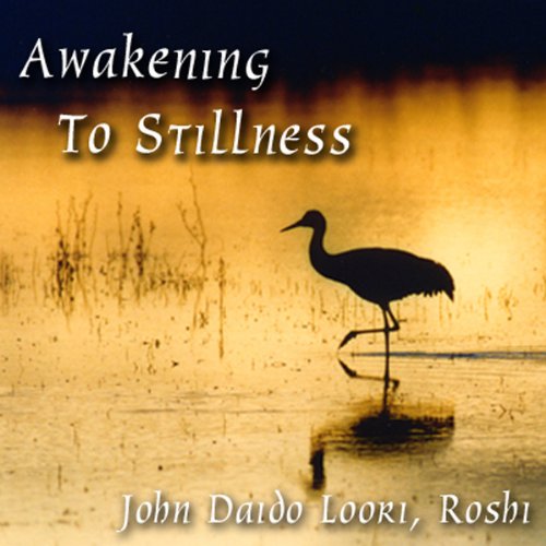 Awakening to Stillness