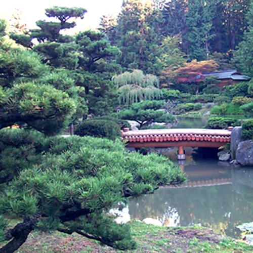 Arriving Where You Are