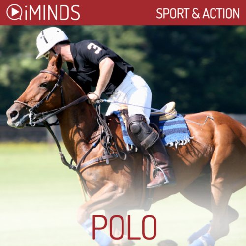 Polo by iMinds