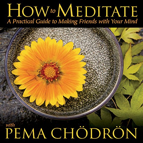 How to Meditate with Pema Ch&ouml;dr&ouml;n