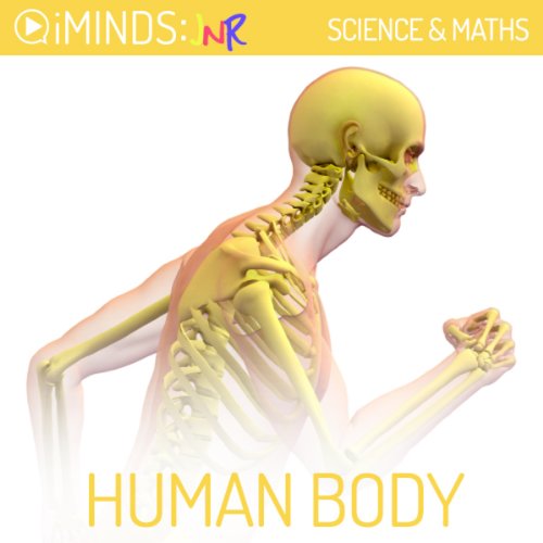 Human Body