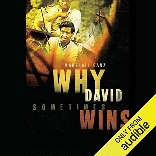 Why David Sometimes Wins by Marshall Ganz