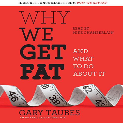 Why We Get Fat