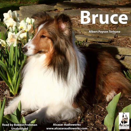 Bruce by Albert Payson Terhune