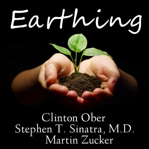 Earthing by Martin Zucker