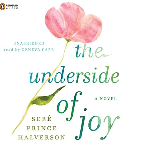 The Underside of Joy by Sere Prince Halverson