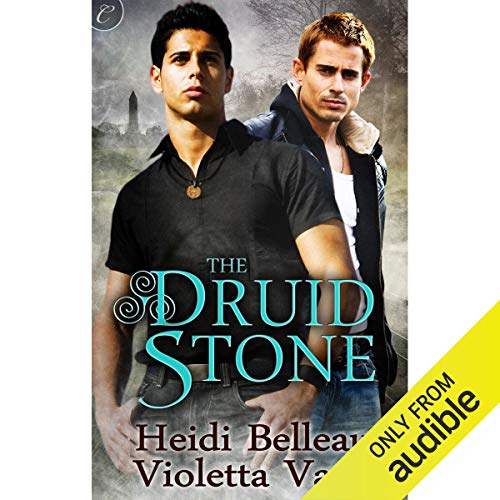 The Druid Stone by Heidi Belleau
