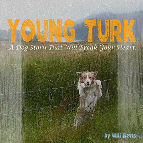 Young Turk by Will Bevis