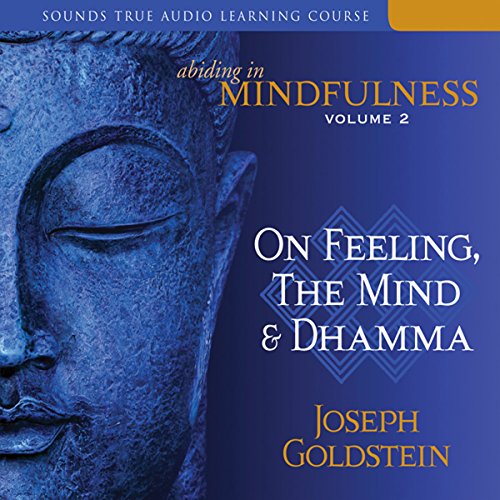 Abiding in Mindfulness, Volume 2