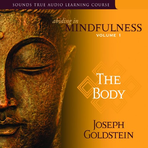 Abiding in Mindfulness, Volume 1