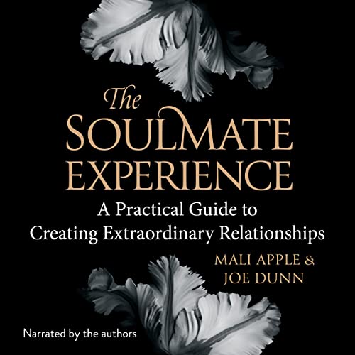 The Soulmate Experience