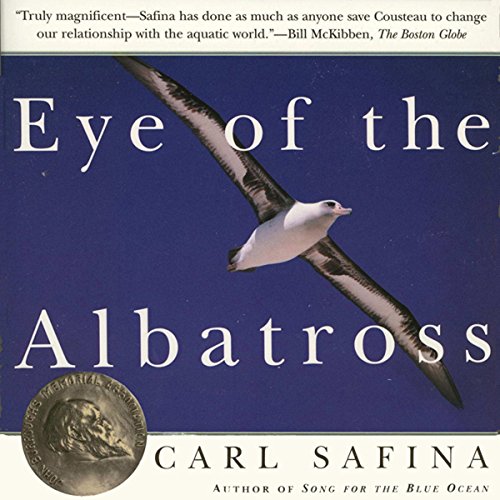 Eye of the Albatross