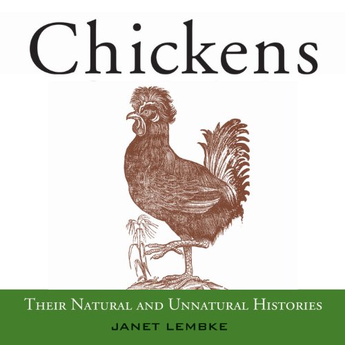Chickens by Janet Lembke