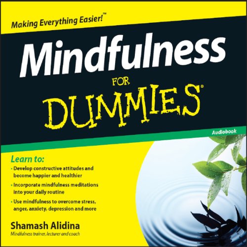 Mindfulness For Dummies by Shamash Alidina