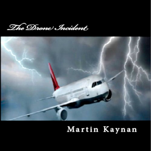 The Drone Incident by Martin Kaynan