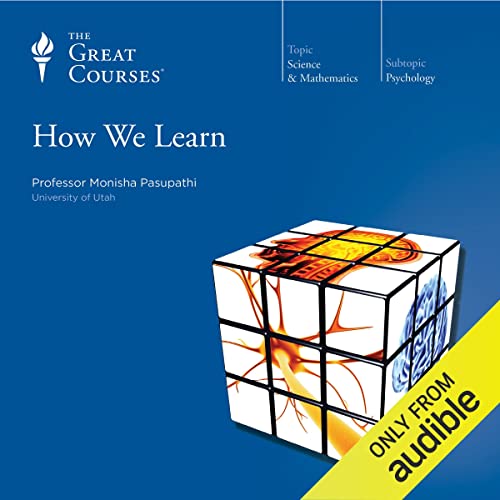 How We Learn by Monisha Pasupathi