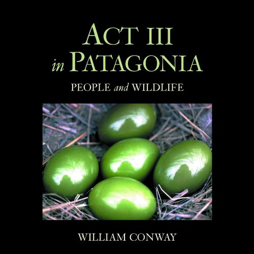 Act III in Patagonia by William Conway