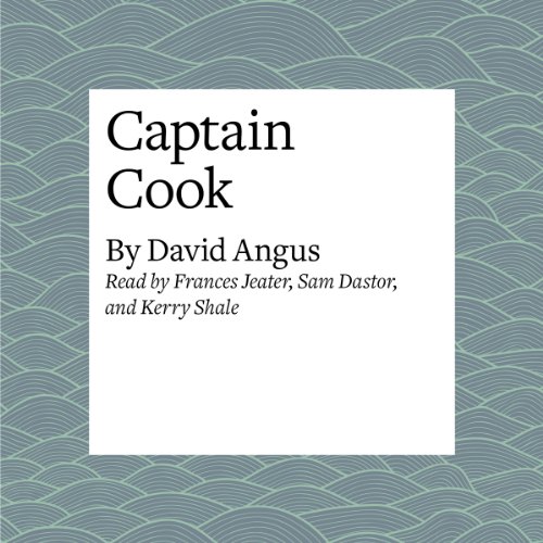 Captain Cook by David Angus