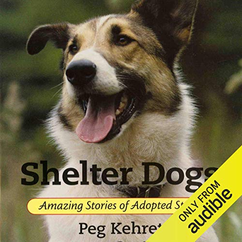 Shelter Dogs