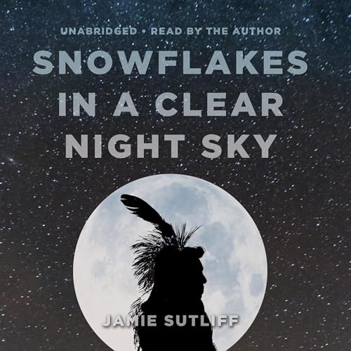 Snowflakes in a Clear Night Sky by Jamie Sutliff