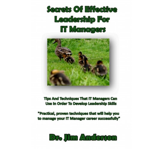 Secrets of Effective Leadership for IT Managers