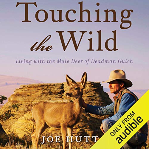 Touching the Wild