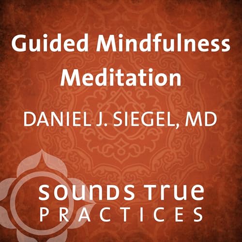 Guided Mindfulness Meditation by Daniel Siegel MD
