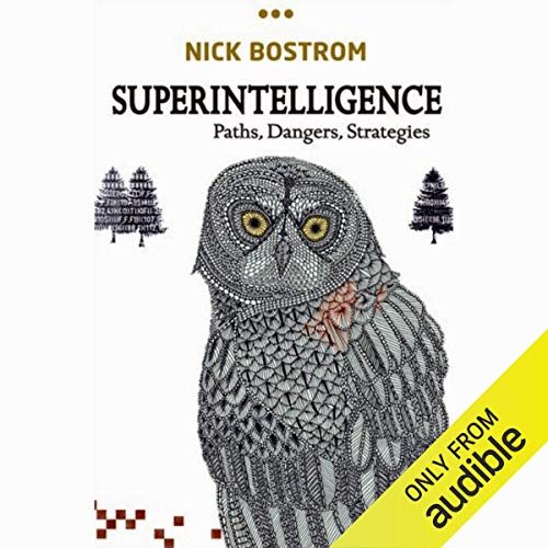 Superintelligence by Nick Bostrom